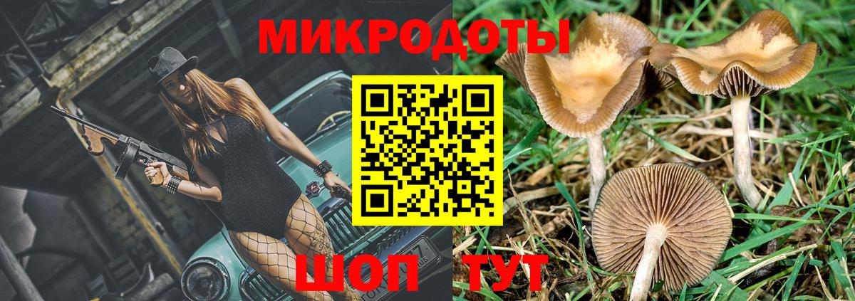 Евпатория  Псилоцибиновые грибы Cubensis  Вход с VPN 